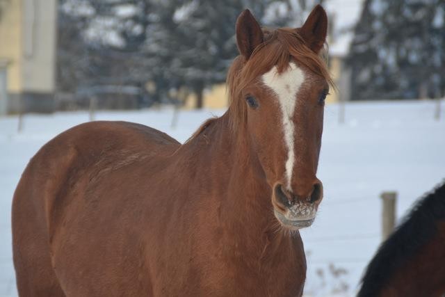 Photo de profil de uback16