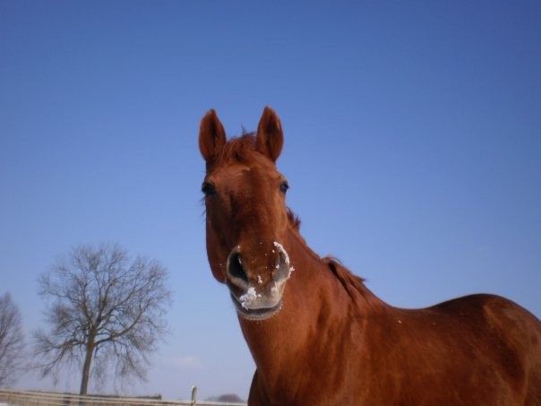 Photo de profil de castillane