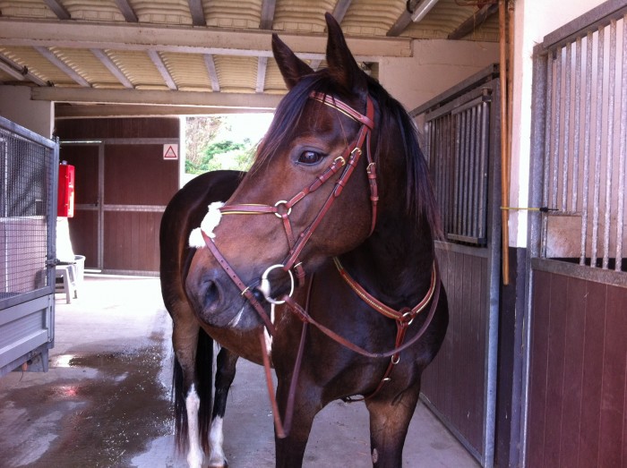 Photo de profil de juju62231