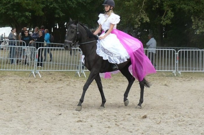 Photo de profil de sandyqp