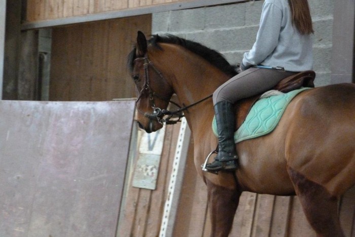 Photo de profil de jade1102