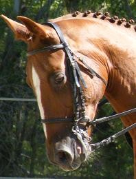 Photo de profil de barbara.caruana