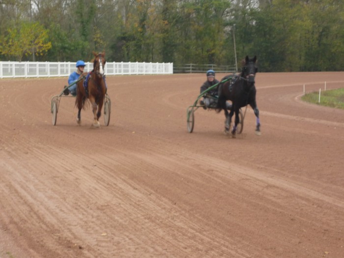 Photo de profil de vanilledolaine