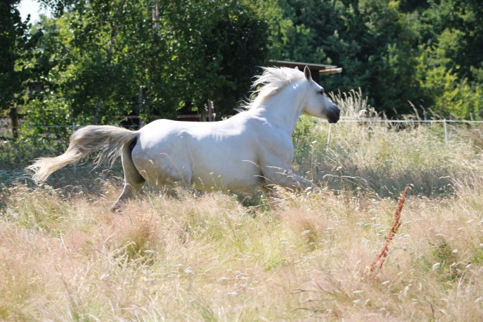 Photo de profil de ad123