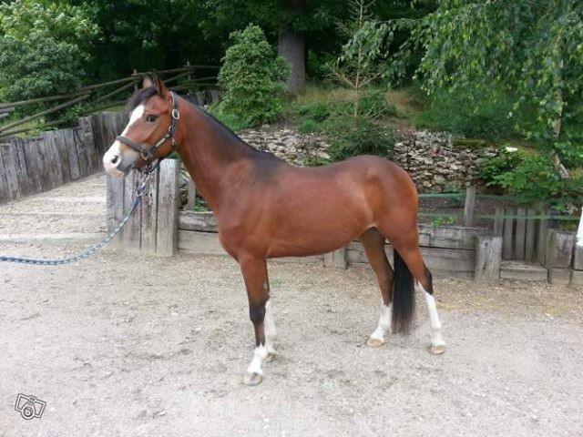 Photo de profil de lucile2205