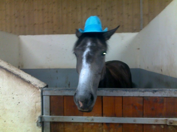 Photo de profil de sohappy13