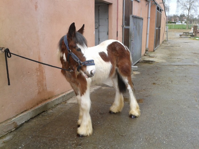 Photo de profil de nanawelle