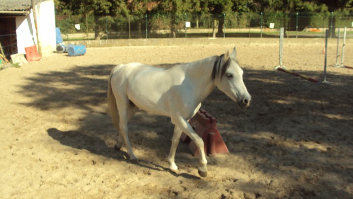 Photo de profil de cecilia60p