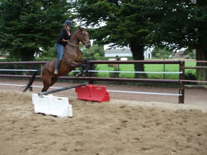 Photo de profil de liloromeo
