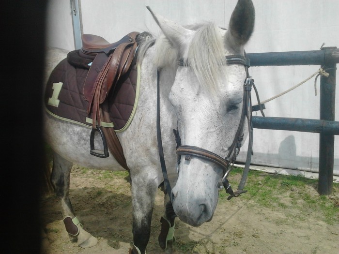 Photo de profil de loggheoceane