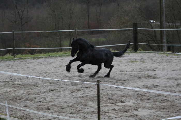 Photo de profil de rindert