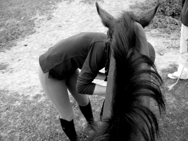 Photo de profil de paulagd