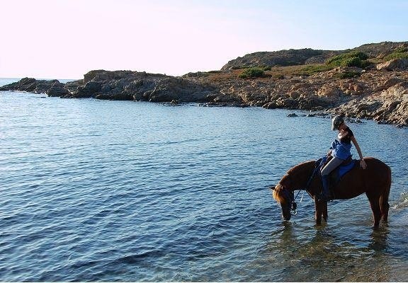Photo de profil de ilovehorses2b