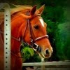 Photo de profil de nutelladu64
