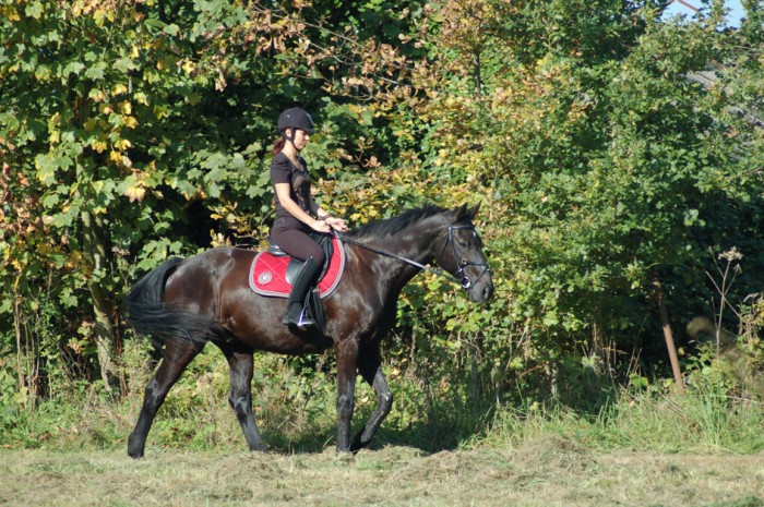 Photo de profil de nymphea76