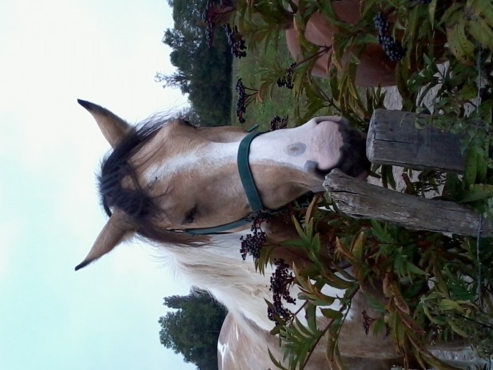 Photo de profil de equipassionlove