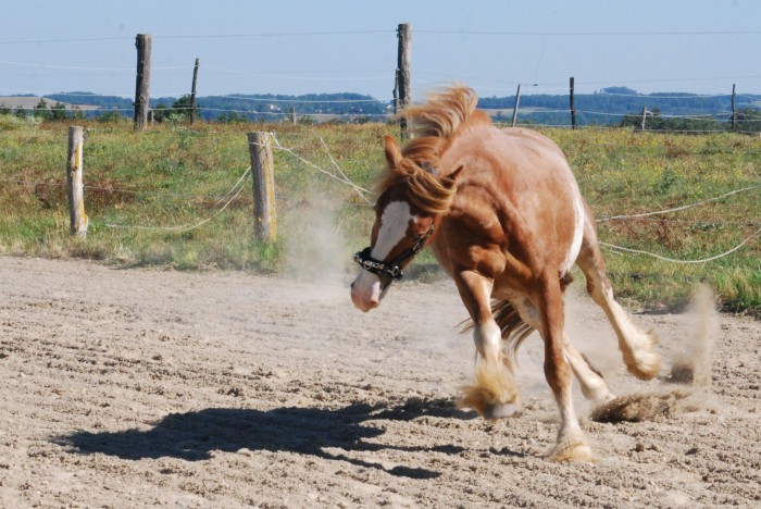 Photo de profil de kelaa