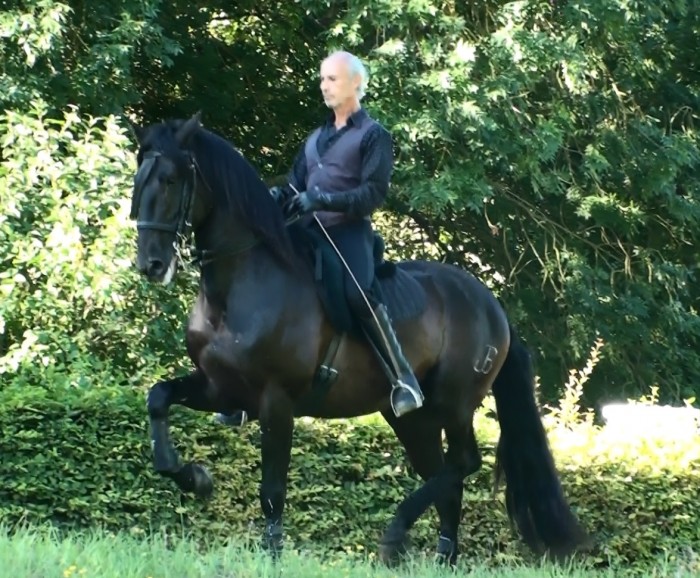 Photo de profil de oliviersueno