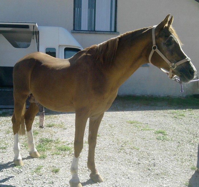 Photo de profil de laurence25