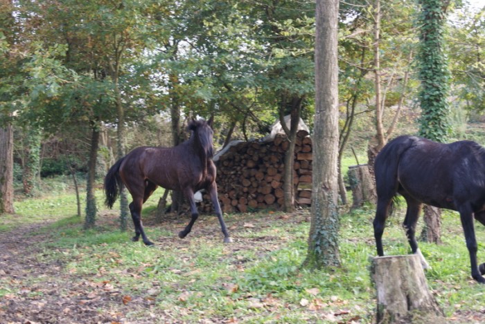 Photo de profil de taxijockey