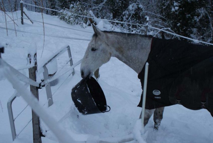 Photo de profil de nastacha