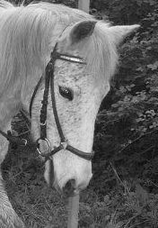 Photo de profil de lolococo