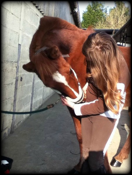Photo de profil de horse1d