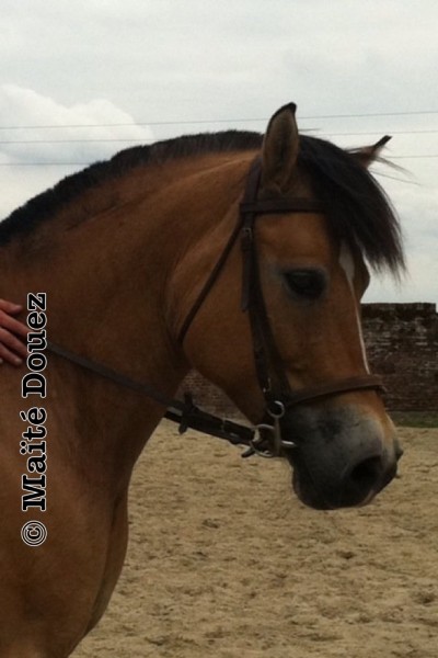 Photo de profil de opale62