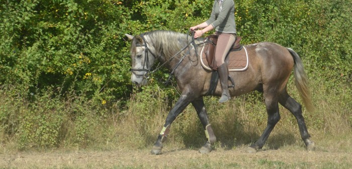 Photo de profil de arisco33