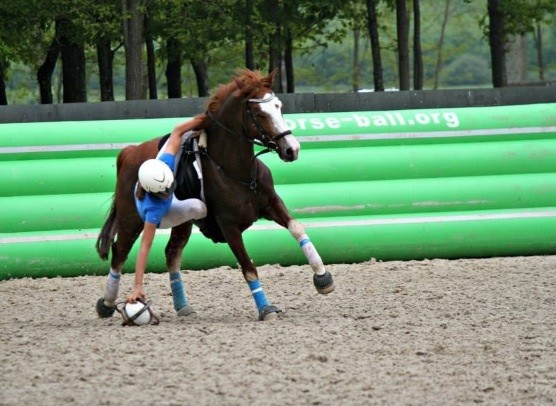 Photo de profil de justinevdw