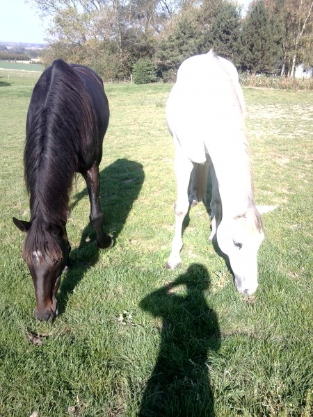 Photo de profil de polluxe8