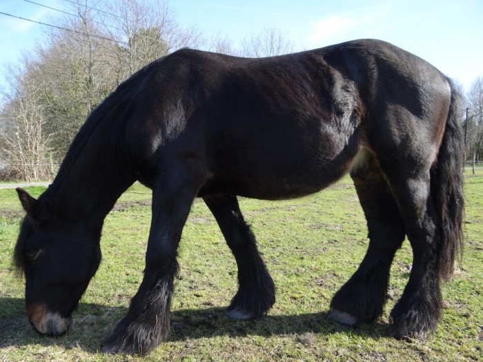 Photo de profil de pasquet33