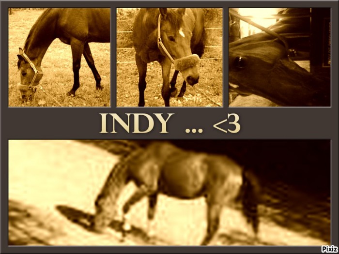 Photo de profil de indydepimoutier