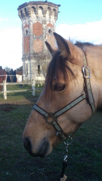 Photo de profil de jujurazzia