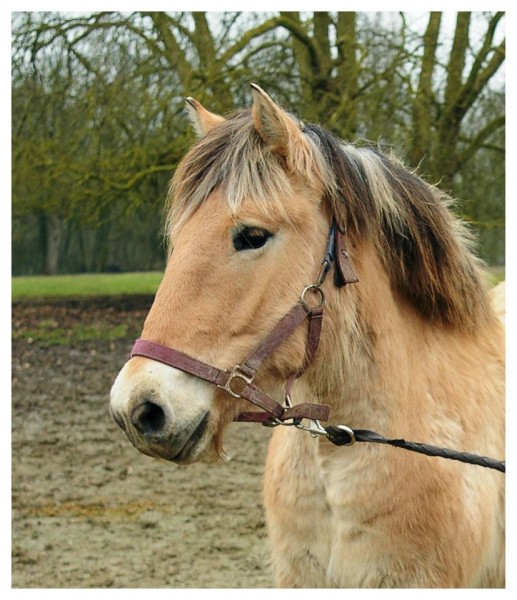 Photo de profil de upsilonvaan