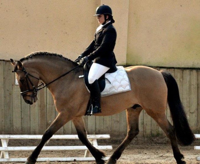 Photo de profil de typhamiens