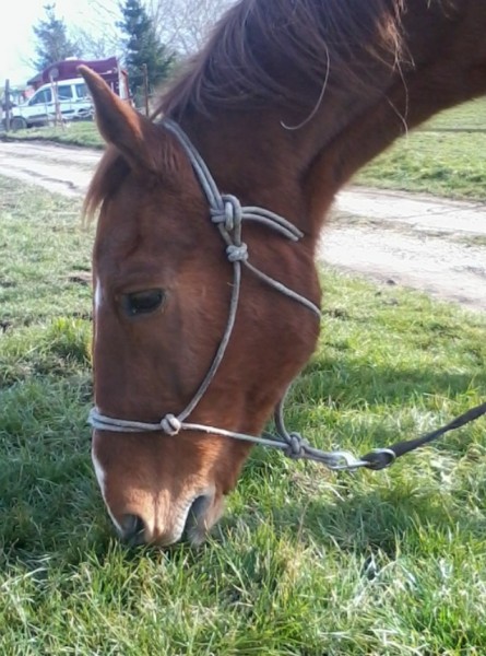 Photo de profil de charlaine77