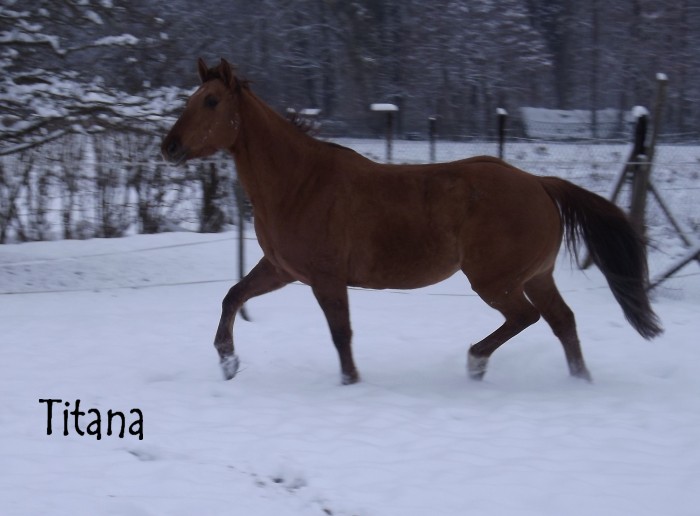 Photo de profil de titane68