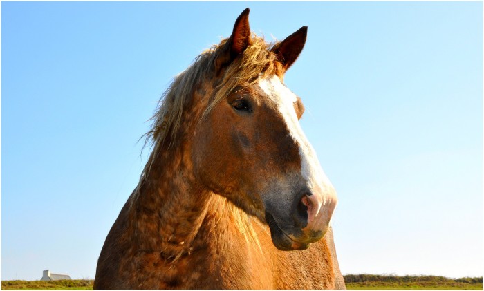 Photo de profil de hyperzaza1