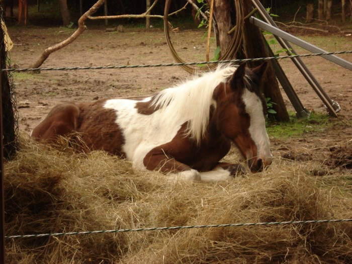 Photo de profil de charliebrown