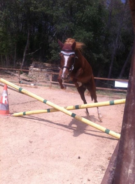 Photo de profil de lolita2013