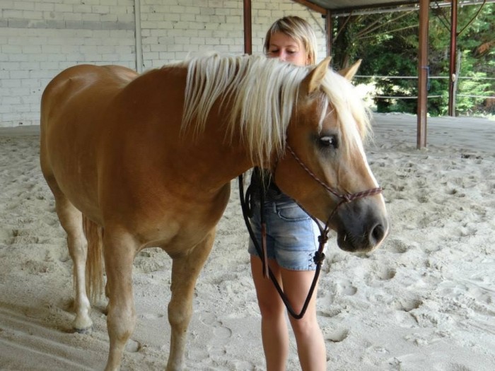 Photo de profil de amandine5