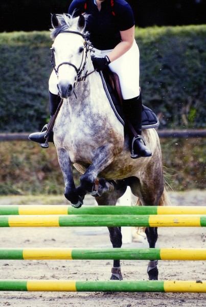 Photo de profil de leberre