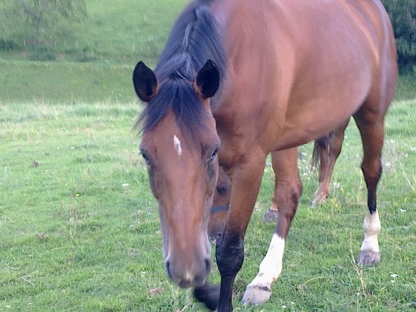 Photo de profil de caroline0501