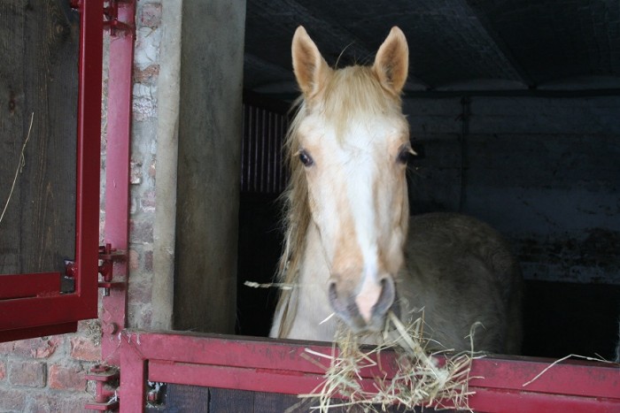 Photo de profil de guylou