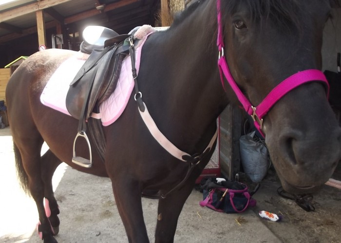 Photo de profil de camillerafale