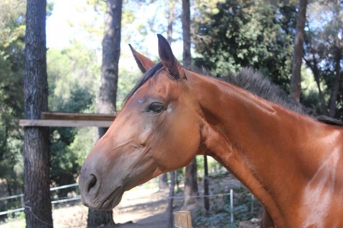 Photo de profil de eva.06
