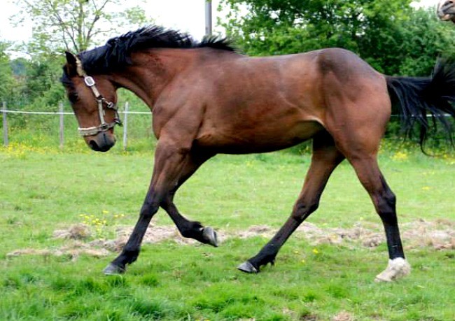 Photo de profil de elisapenanhoat