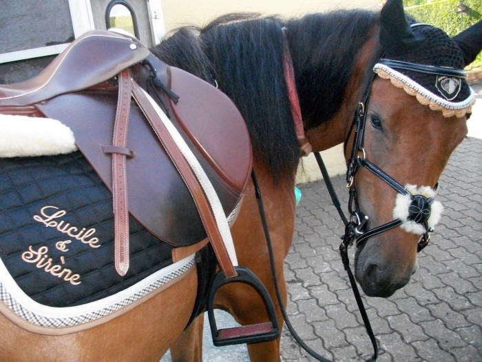 Photo de profil de sirene4