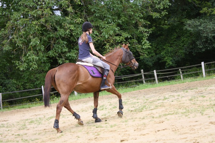 Photo de profil de marie.wamtec